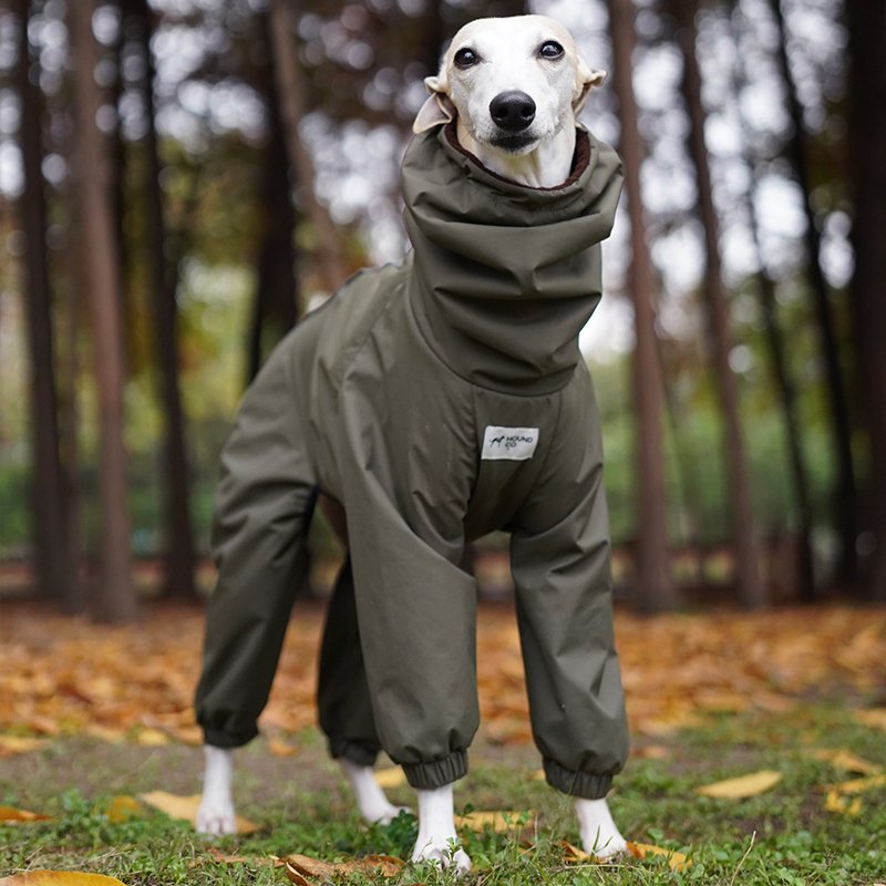 Outdoor Jacket Raincoat for Italian greyhound Whippet - PIKAPIKA