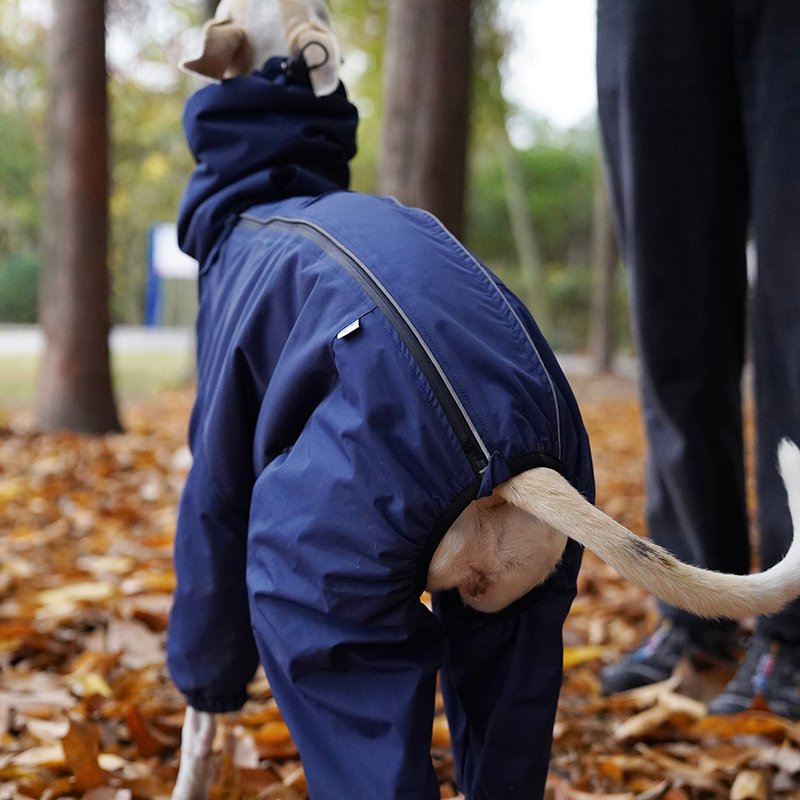 Outdoor Jacket Raincoat for Italian greyhound Whippet - PIKAPIKA