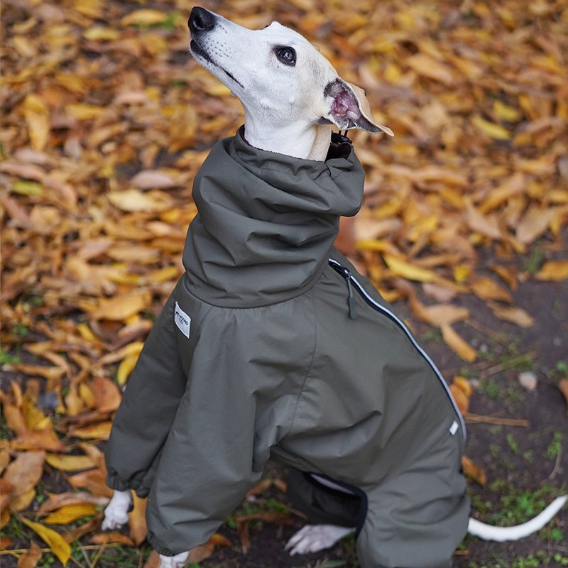 Outdoor Jacket Raincoat for Italian greyhound Whippet - PIKAPIKA