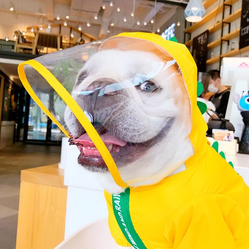 Outdoor Raincoat Dog 4 Legs Waterproof Zip Clothes Bulldog Dinosaurs - PIKAPIKA