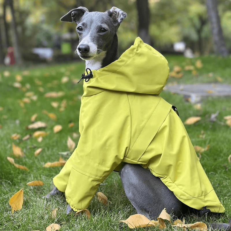 Outdoor Raincoats Fleece Jacket Italian greyhound Dog Clothes - PIKAPIKA