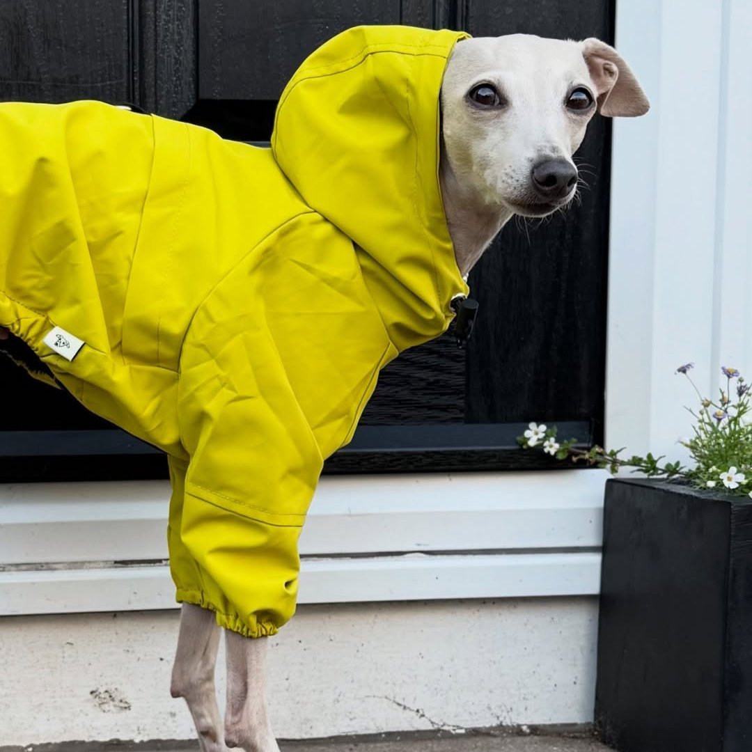 Outdoor Raincoats Fleece Jacket Italian greyhound Dog Clothes - PIKAPIKA
