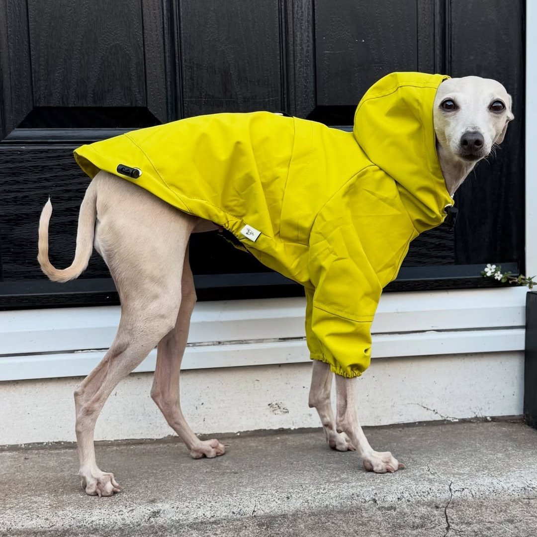 Outdoor Raincoats Fleece Jacket Italian greyhound Dog Clothes - PIKAPIKA