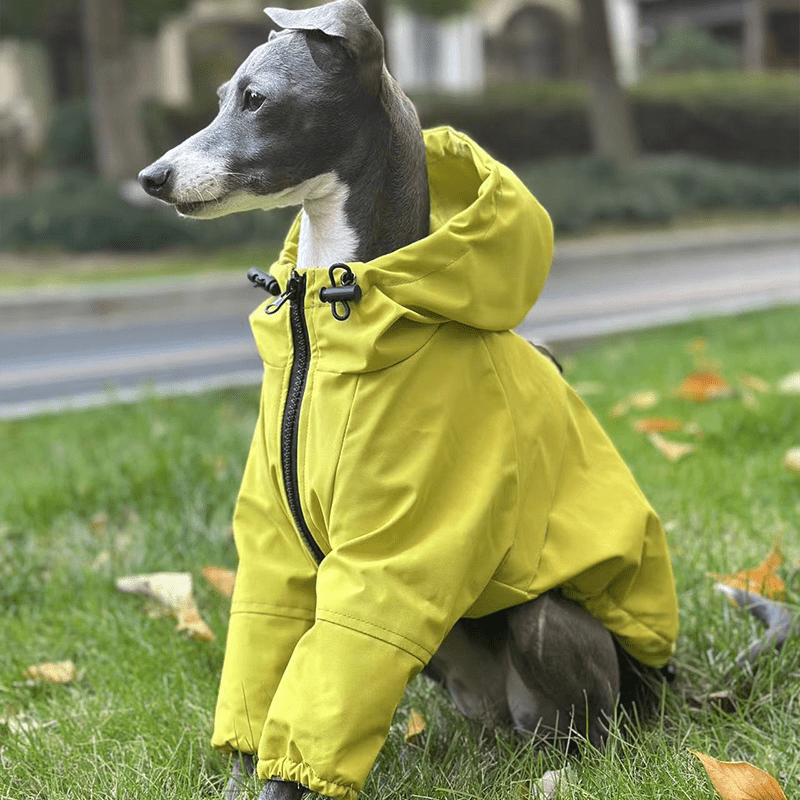 Outdoor Raincoats Fleece Jacket Italian greyhound Dog Clothes - PIKAPIKA