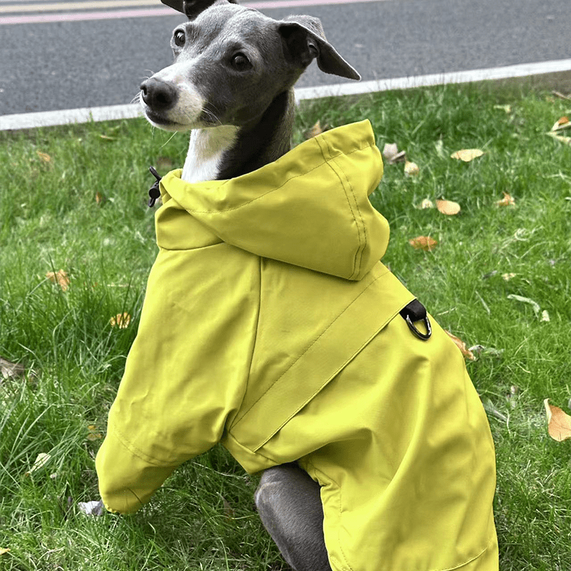 Outdoor Raincoats Fleece Jacket Italian greyhound Dog Clothes - PIKAPIKA