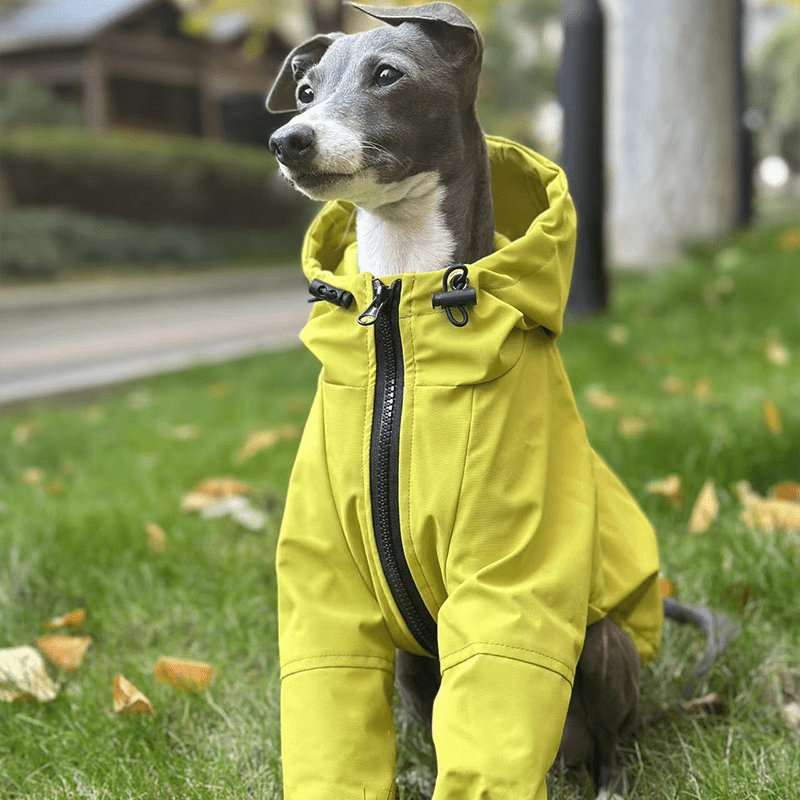 Outdoor Raincoats Fleece Jacket Italian greyhound Dog Clothes - PIKAPIKA