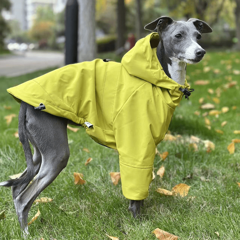 Outdoor Raincoats Fleece Jacket Italian greyhound Dog Clothes - PIKAPIKA