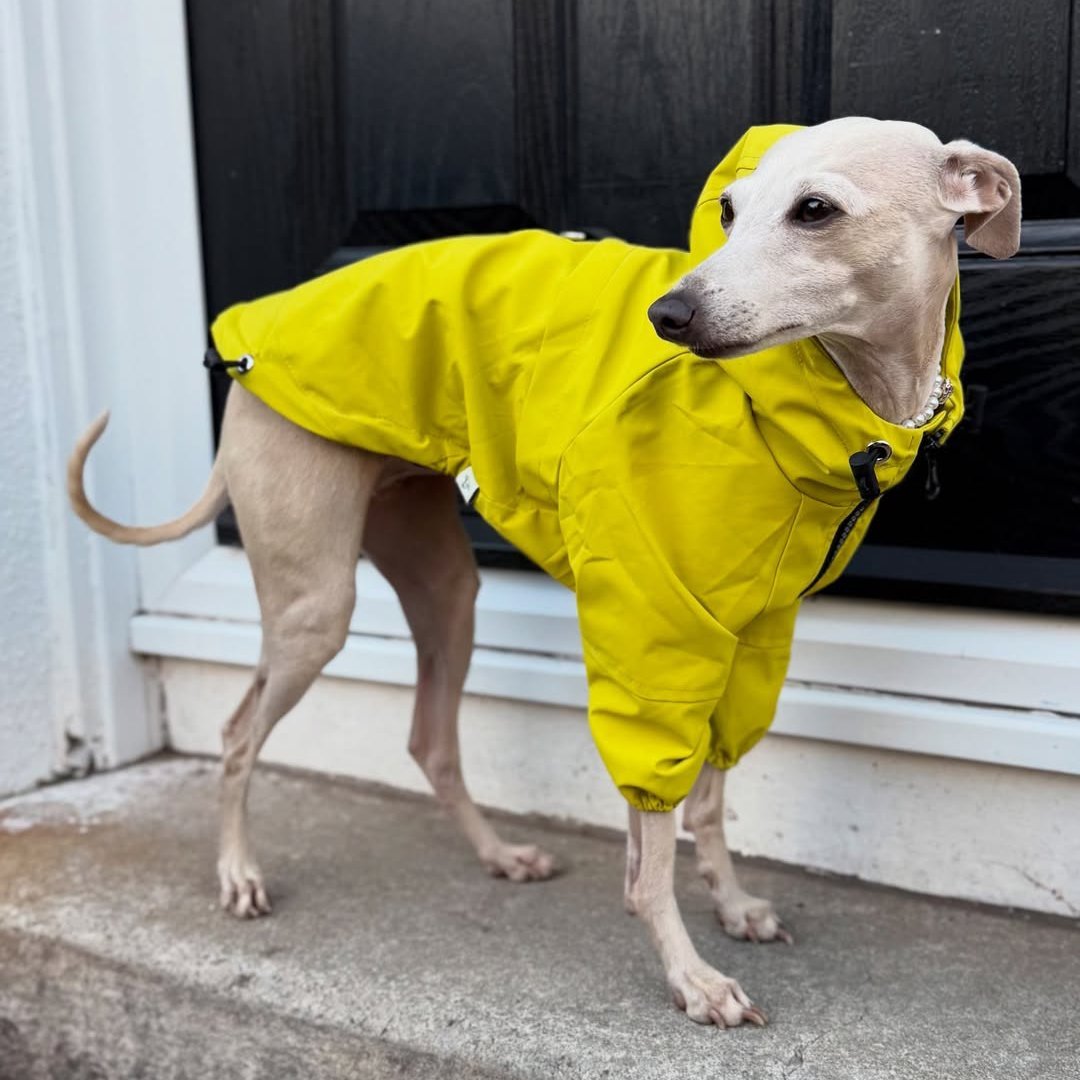 Outdoor Raincoats Fleece Jacket Italian greyhound Dog Clothes - PIKAPIKA