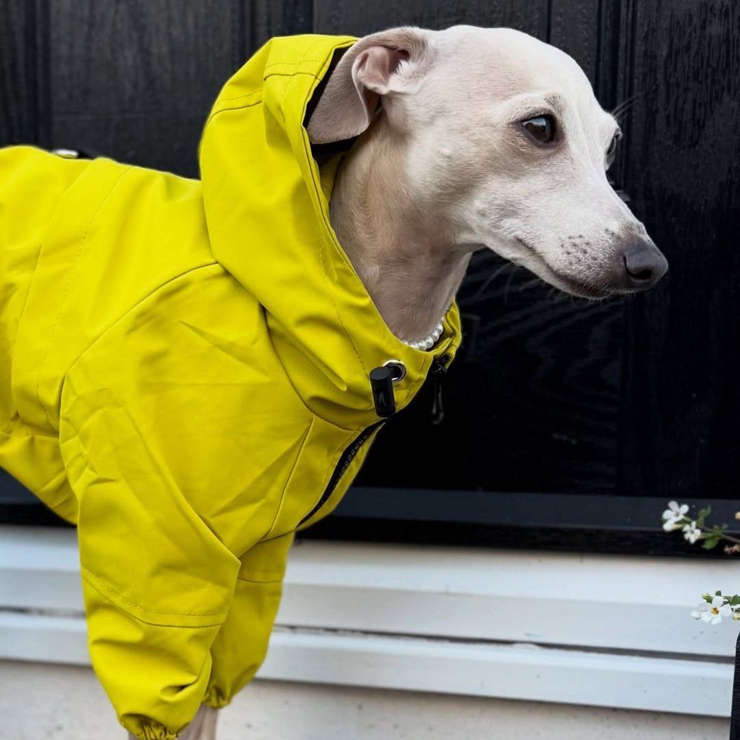 Outdoor Raincoats Fleece Jacket Italian greyhound Dog Clothes - PIKAPIKA