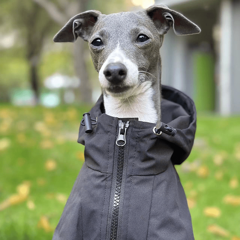 Outdoor Raincoats Fleece Lining Italian greyhound Dog Clothes - PIKAPIKA