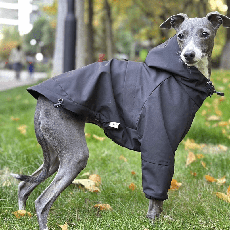Outdoor Raincoats Fleece Lining Italian greyhound Dog Clothes - PIKAPIKA