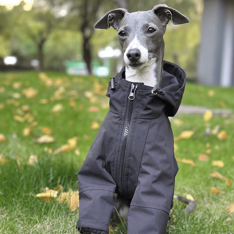 Outdoor Raincoats Fleece Lining Italian greyhound Dog Clothes - PIKAPIKA