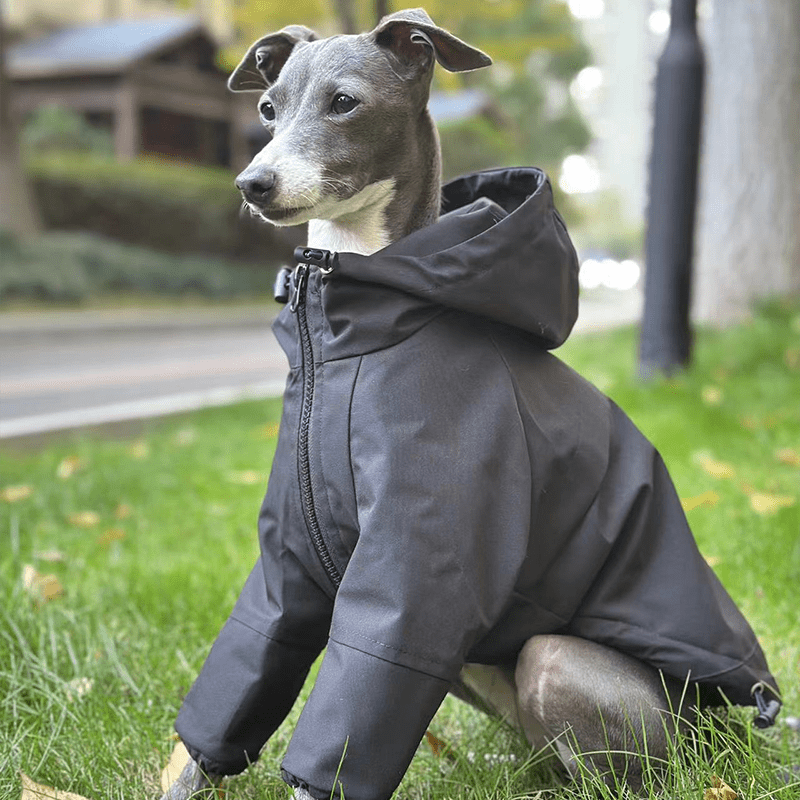 Outdoor Raincoats Fleece Lining Italian greyhound Dog Clothes - PIKAPIKA