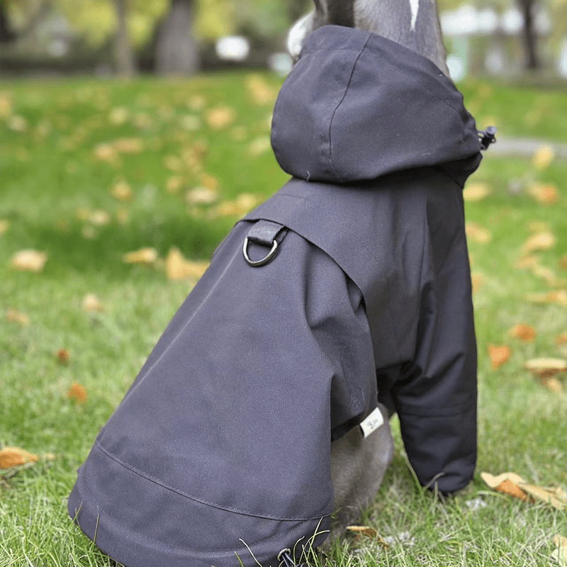 Outdoor Raincoats Fleece Lining Italian greyhound Dog Clothes - PIKAPIKA