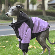 Outdoor Raincoats for Italian greyhound Whippet Dog Clothes - PIKAPIKA