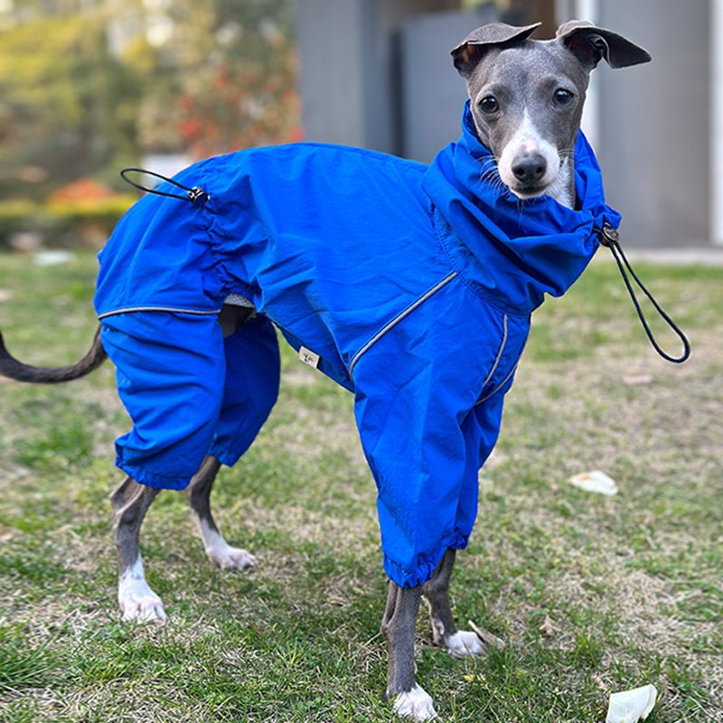 Outdoor Raincoats Waterproof for Italian greyhound Whippet Dog Clothes - PIKAPIKA