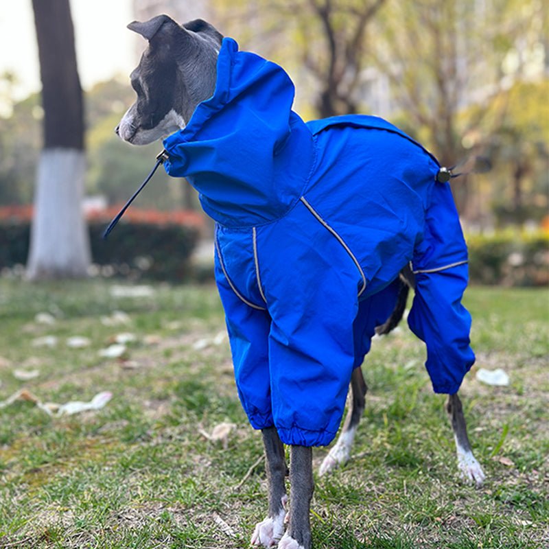 Outdoor Raincoats Waterproof for Italian greyhound Whippet Dog Clothes - PIKAPIKA