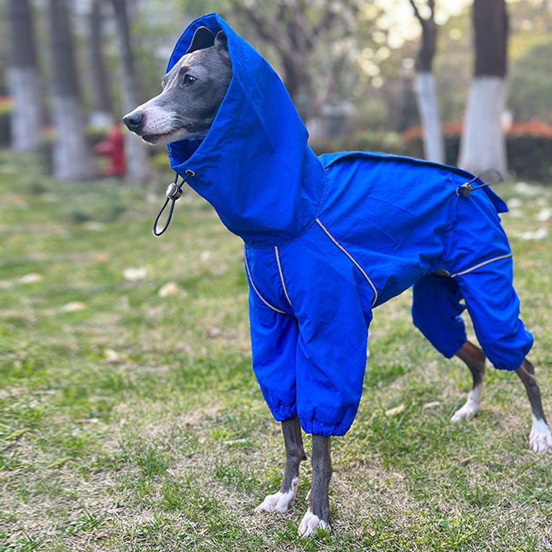 Outdoor Raincoats Waterproof for Italian greyhound Whippet Dog Clothes - PIKAPIKA