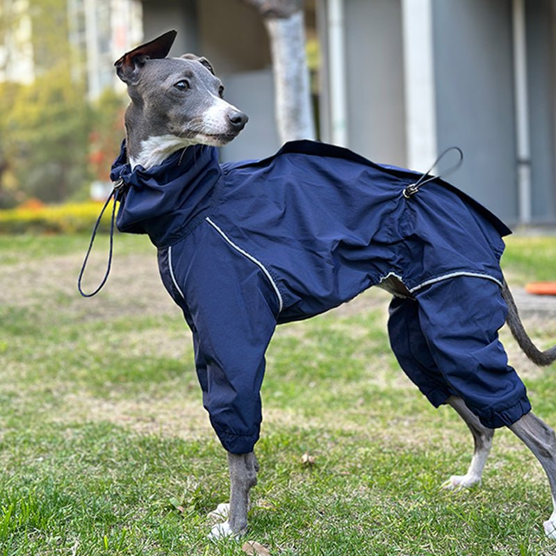 Outdoor Raincoats Waterproof for Italian greyhound Whippet Dog Clothes - PIKAPIKA