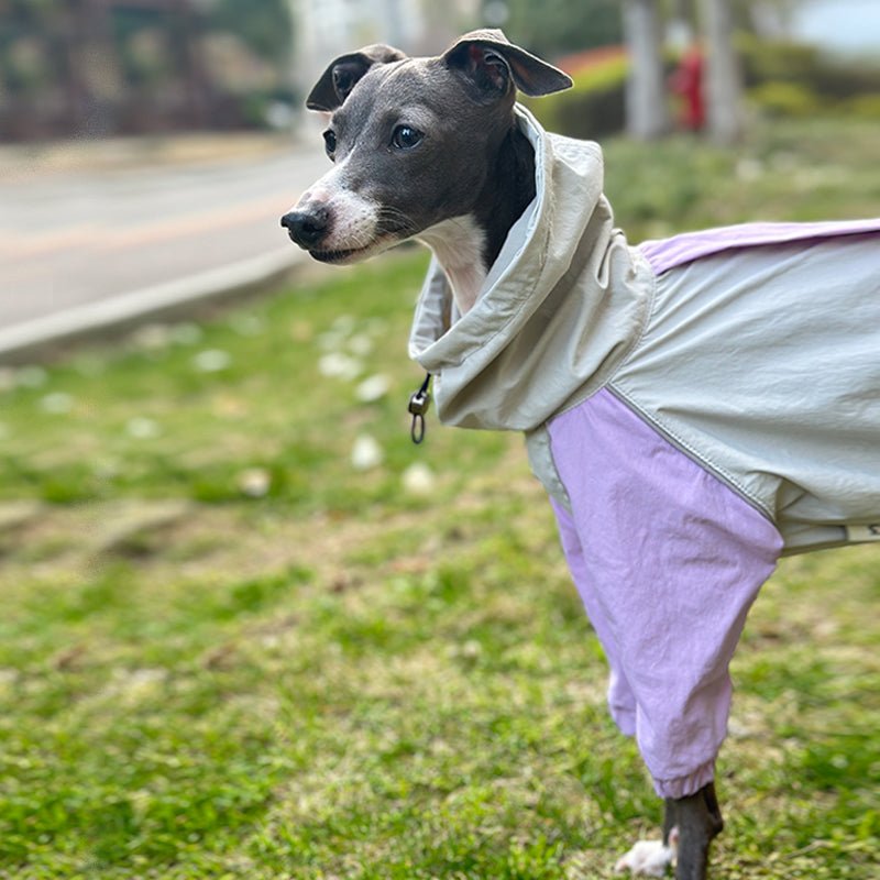 Outdoor Raincoats Waterproof for Italian greyhound Whippet Dog Clothes - PIKAPIKA