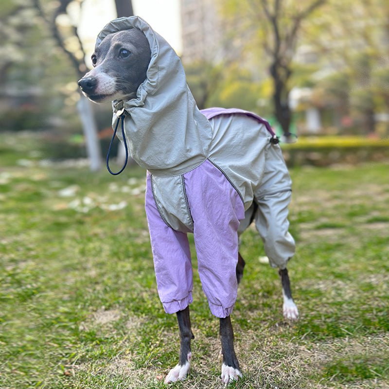 Outdoor Raincoats Waterproof for Italian greyhound Whippet Dog Clothes - PIKAPIKA