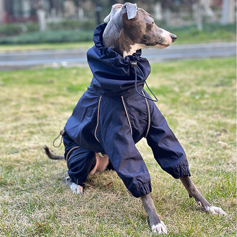 Outdoor Raincoats Waterproof for Italian greyhound Whippet Dog Clothes - PIKAPIKA