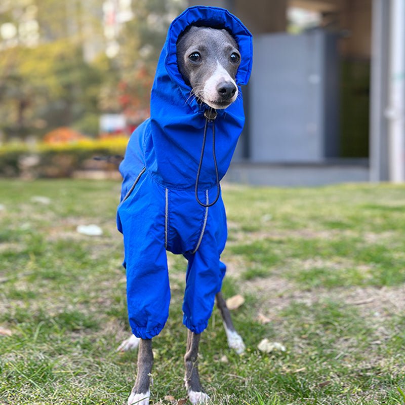 Outdoor Raincoats Waterproof for Italian greyhound Whippet Dog Clothes - PIKAPIKA