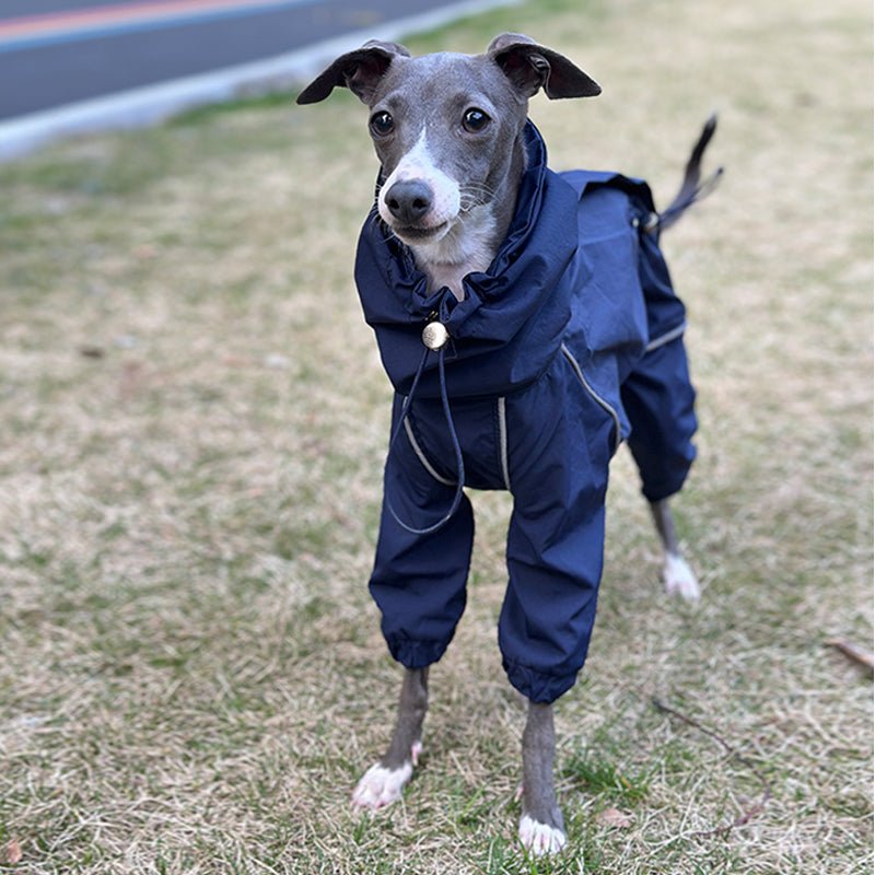 Outdoor Raincoats Waterproof for Italian greyhound Whippet Dog Clothes - PIKAPIKA