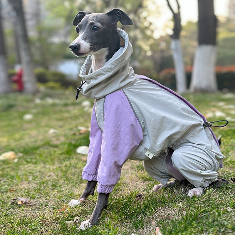 Outdoor Raincoats Waterproof for Italian greyhound Whippet Dog Clothes - PIKAPIKA
