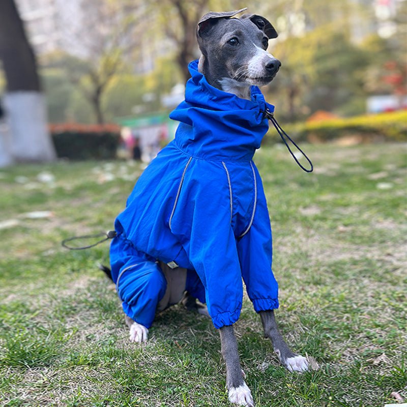 Outdoor Raincoats Waterproof for Italian greyhound Whippet Dog Clothes - PIKAPIKA