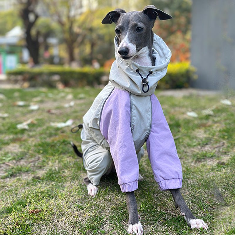 Outdoor Raincoats Waterproof for Italian greyhound Whippet Dog Clothes - PIKAPIKA