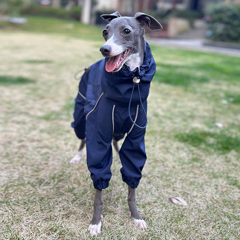 Outdoor Raincoats Waterproof for Italian greyhound Whippet Dog Clothes - PIKAPIKA
