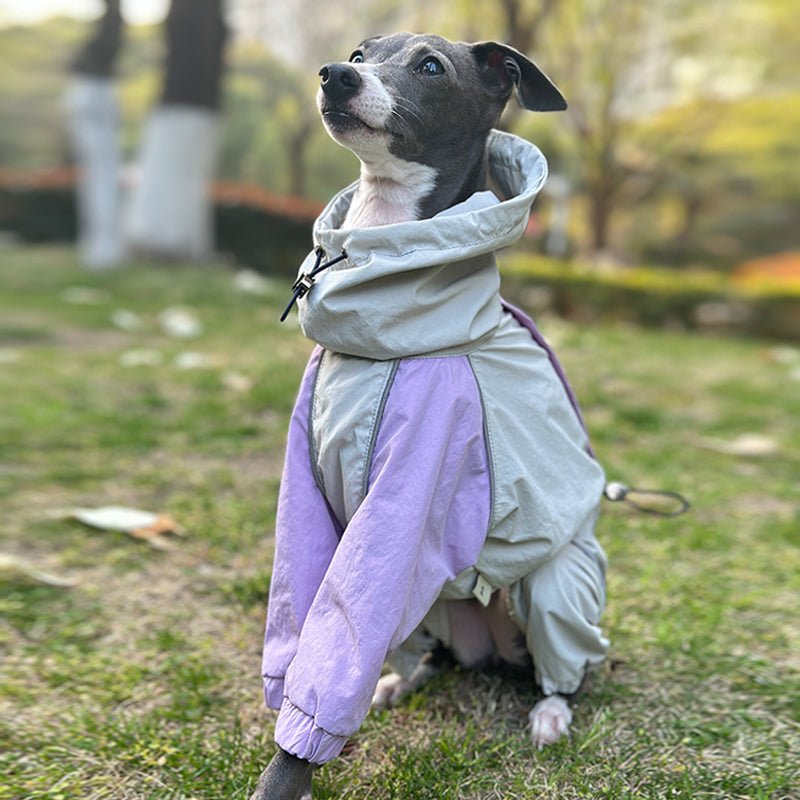 Outdoor Raincoats Waterproof for Italian greyhound Whippet Dog Clothes - PIKAPIKA