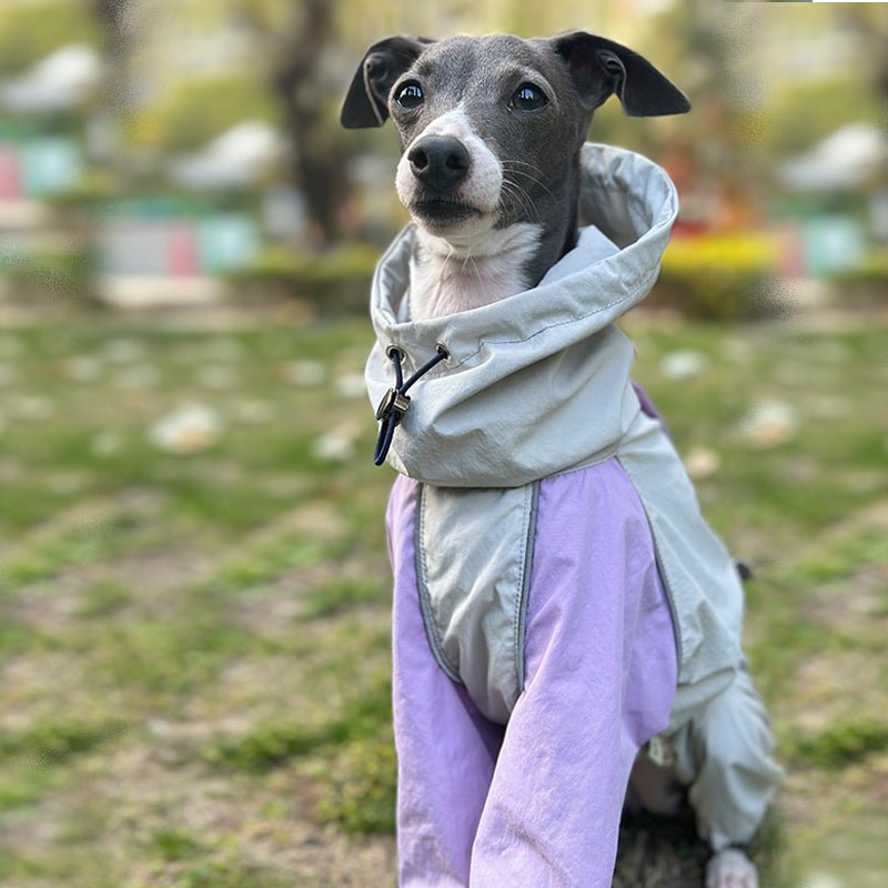Outdoor Raincoats Waterproof for Italian greyhound Whippet Dog Clothes - PIKAPIKA