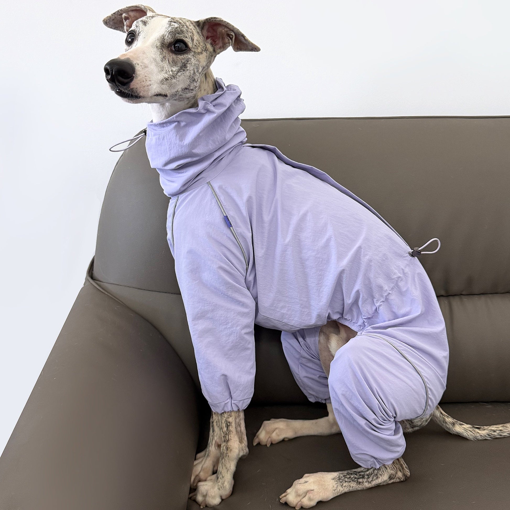 Outdoor Windproof Rain Jacket Lightweight Coat for Whippet - PIKAPIKA