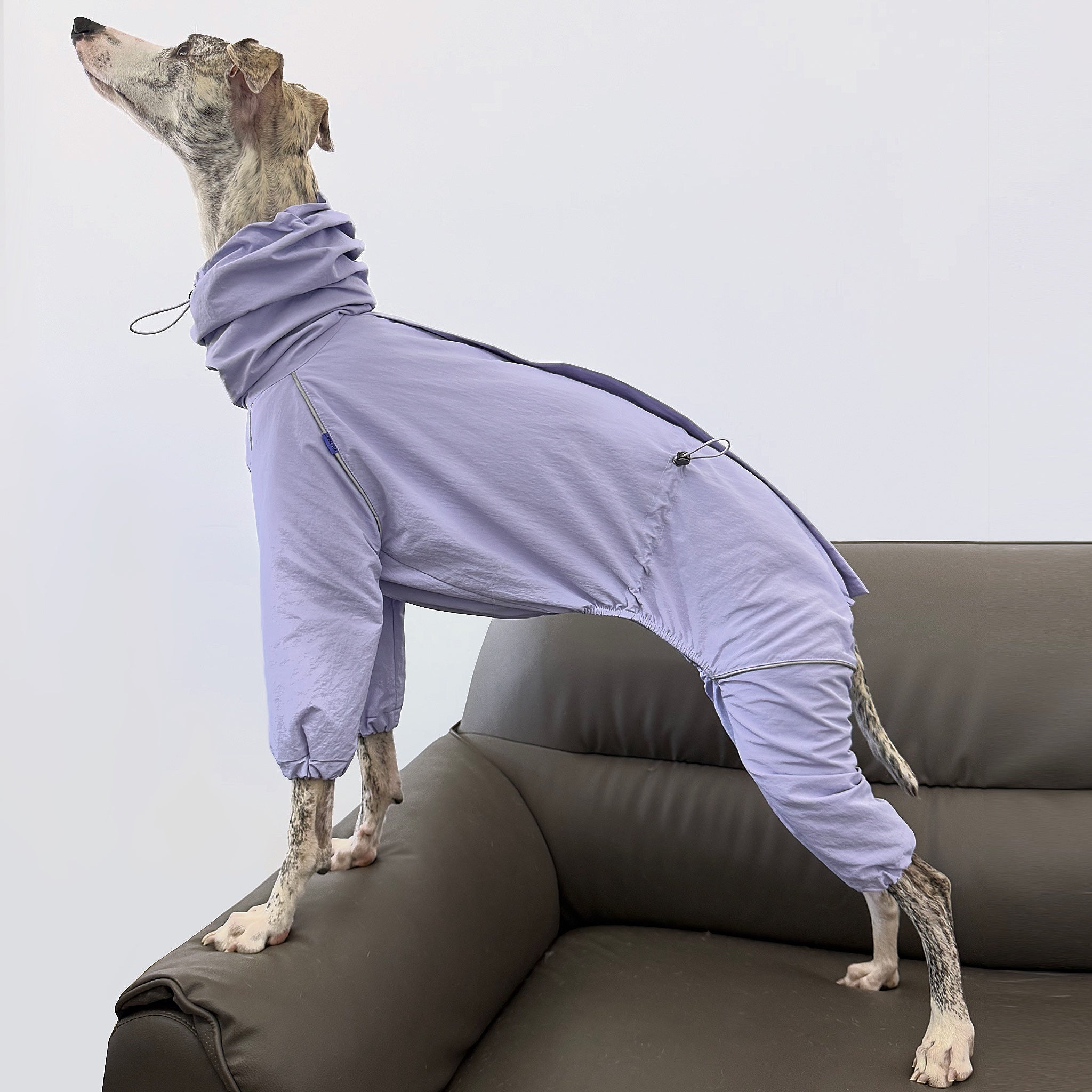 Outdoor Windproof Rain Jacket Lightweight Coat for Whippet - PIKAPIKA