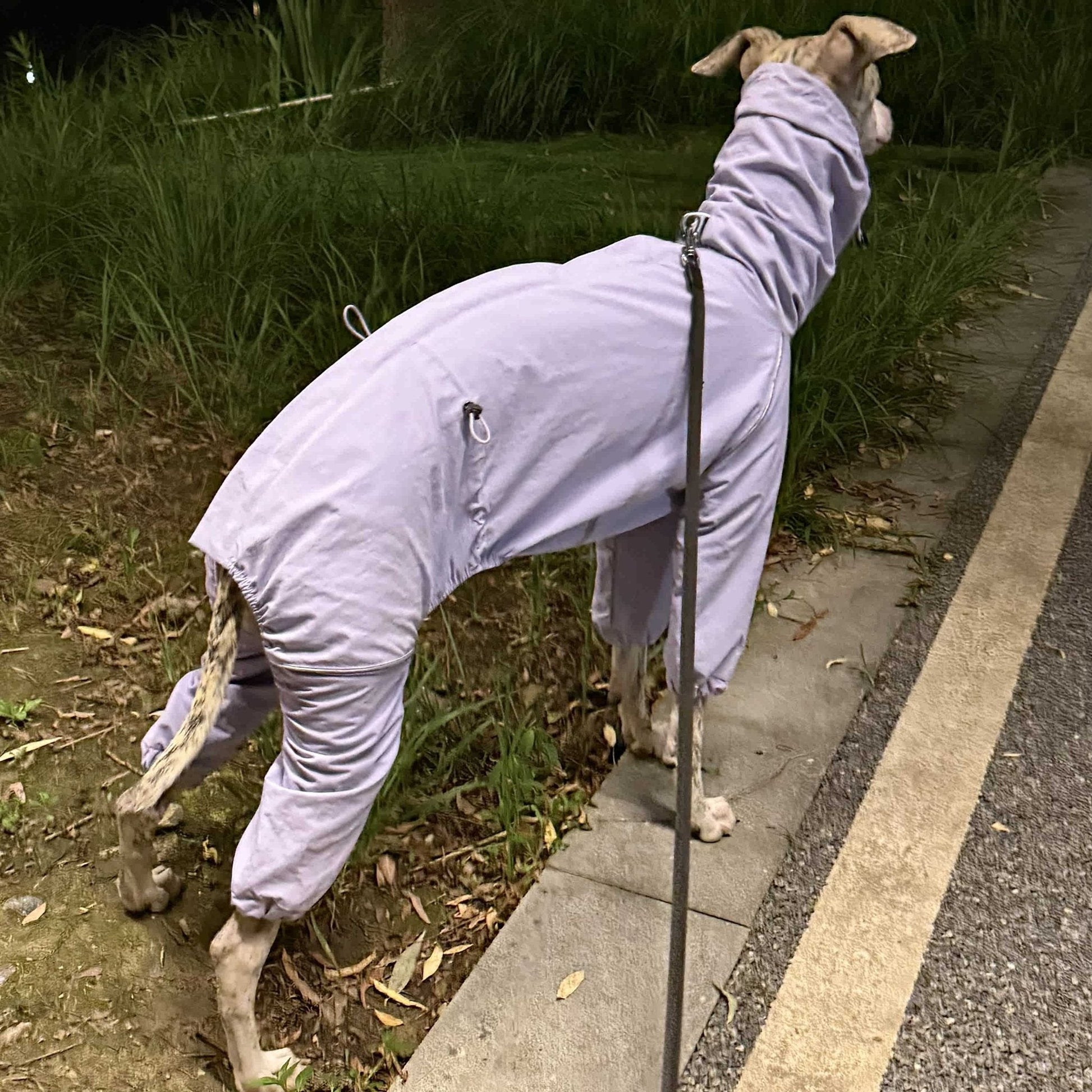 Outdoor Windproof Rain Jacket Lightweight Coat for Whippet - PIKAPIKA