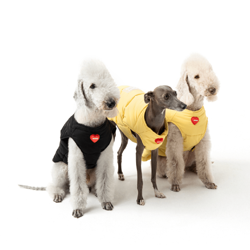 Padded Jacket Dog Vest Bedlington Italian greyhound Whippet Clothes - PIKAPIKA