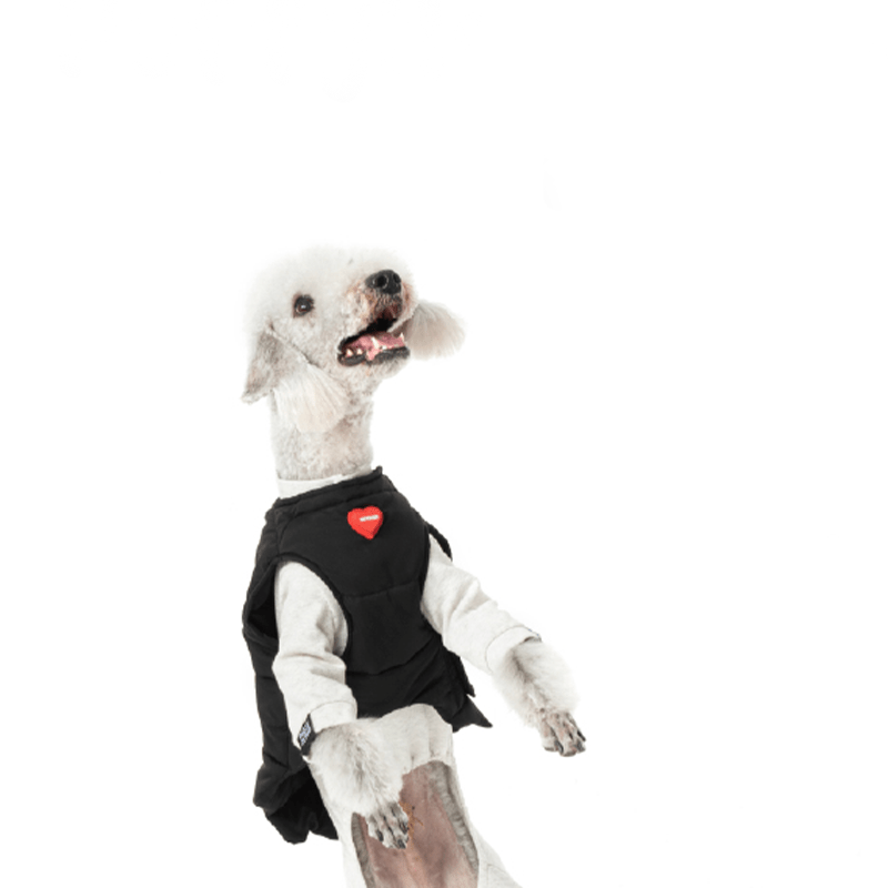 Padded Jacket Dog Vest Bedlington Italian greyhound Whippet Clothes - PIKAPIKA