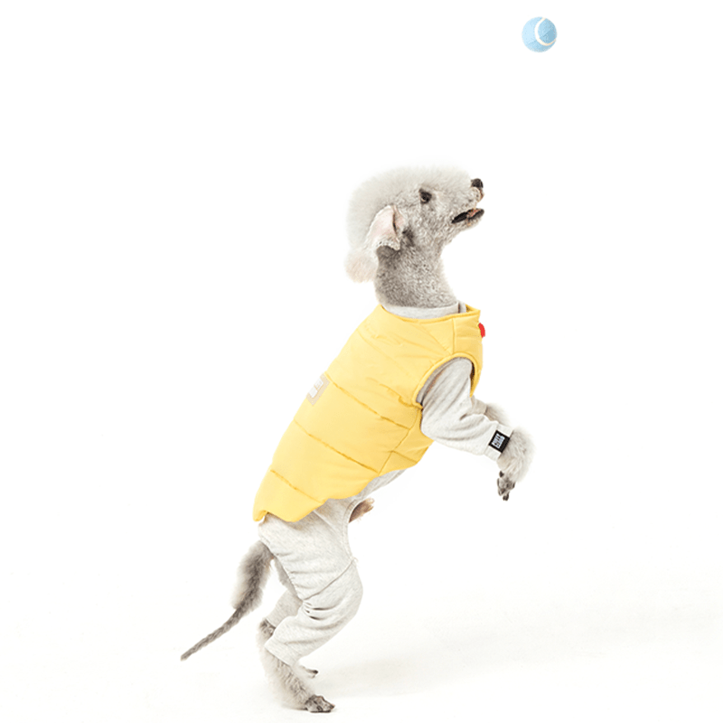 Padded Jacket Dog Vest Bedlington Italian greyhound Whippet Clothes - PIKAPIKA