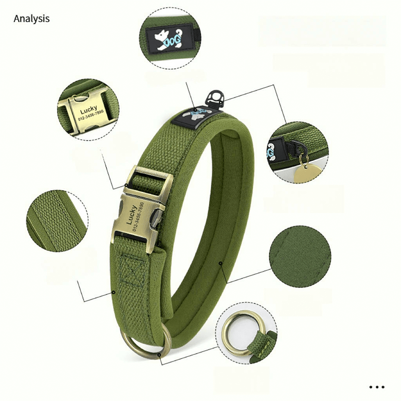 Personalized Dog Collar Anti - Lost Design for Outdoor Use - PIKAPIKA