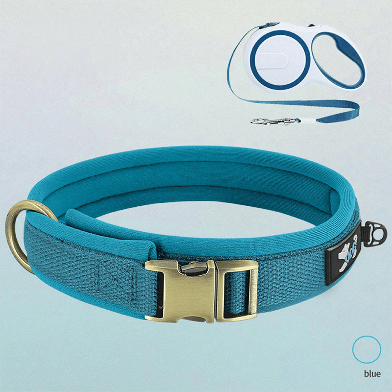 Personalized Dog Collar Anti - Lost Design for Outdoor Use - PIKAPIKA