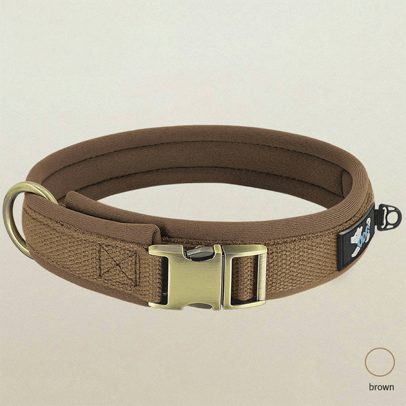 Personalized Dog Collar Anti - Lost Design for Outdoor Use - PIKAPIKA