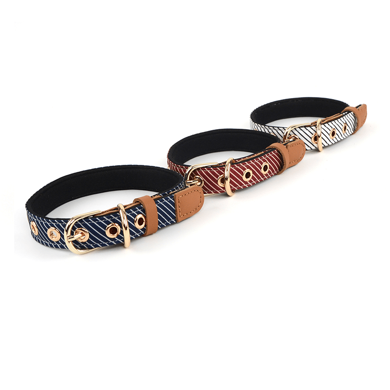 Personalized Dog Collar with Laser Engraving Adjustable Anti - Loss - PIKAPIKA