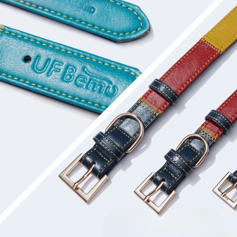 Personalized Pet Collar 4 ft Leash Set Anti - Lost Leather for Small Medium Dog - PIKAPIKA