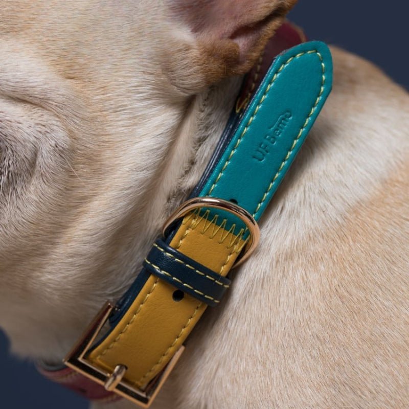 Personalized Pet Collar 4 ft Leash Set Anti - Lost Leather for Small Medium Dog - PIKAPIKA