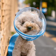 Pet Anti - Bite Mask No - Snack Full Head Cover Lightweight & Adjustable - PIKAPIKA