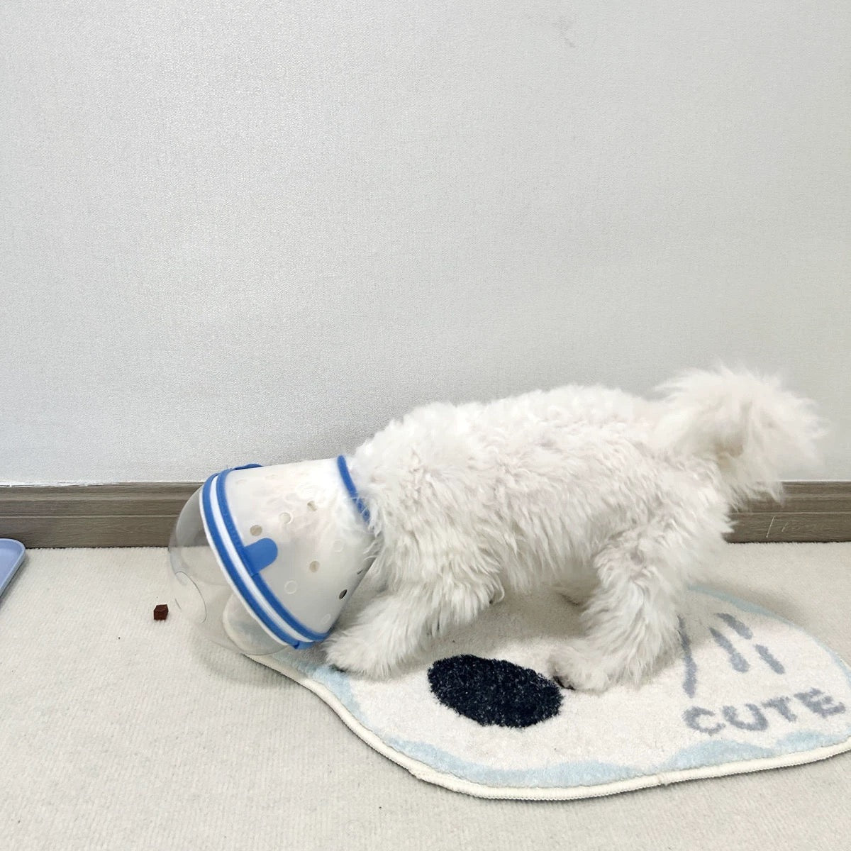 Pet Anti - Bite Mask No - Snack Full Head Cover Lightweight & Adjustable - PIKAPIKA