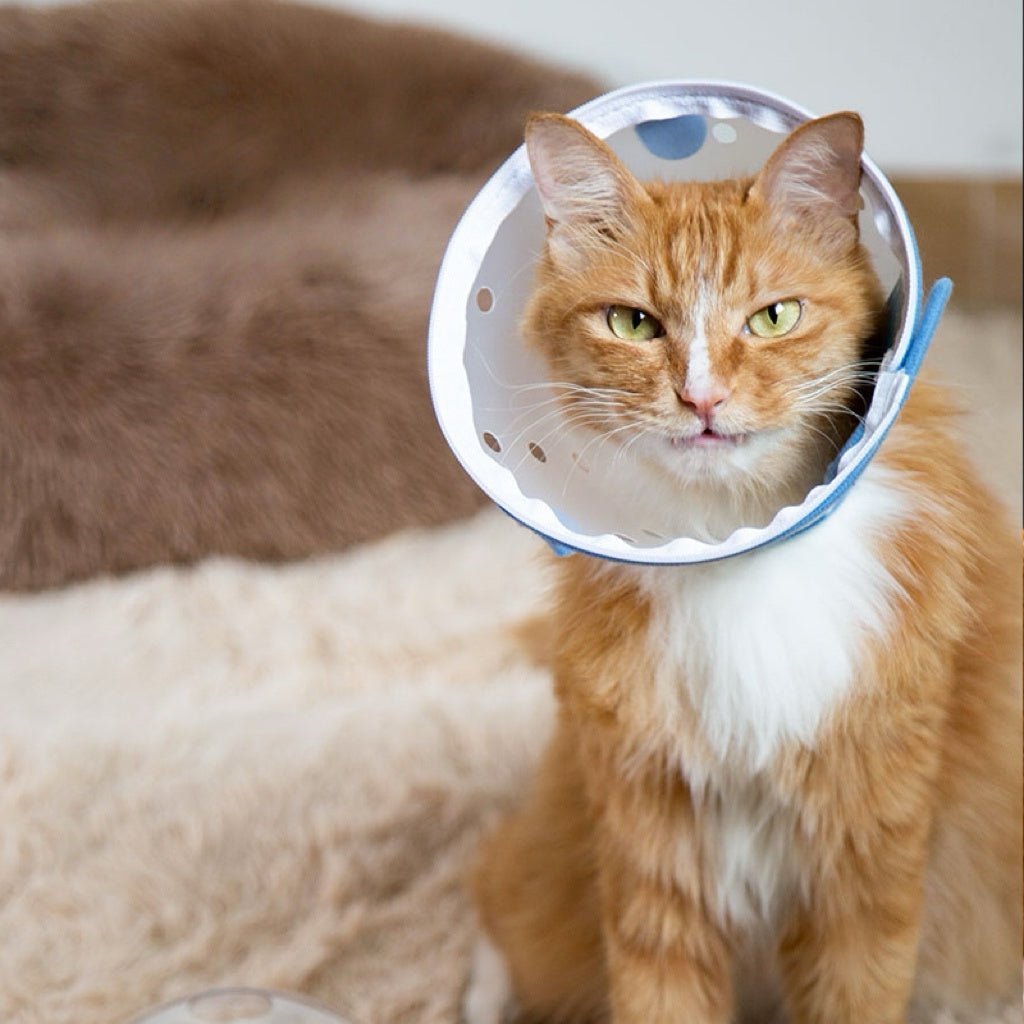 Pet Anti - Bite Mask No - Snack Full Head Cover Lightweight & Adjustable - PIKAPIKA