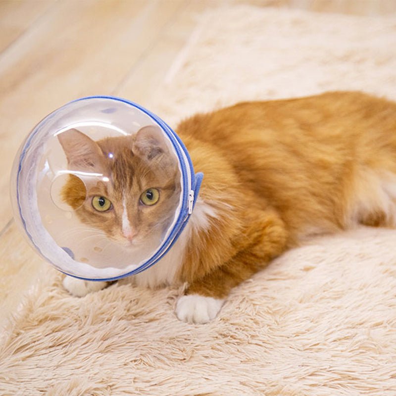 Pet Anti - Bite Mask No - Snack Full Head Cover Lightweight & Adjustable - PIKAPIKA